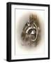 Just Lookin-Peggy Harris-Framed Giclee Print