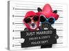 Just Married Mugshot-Javier Brosch-Stretched Canvas