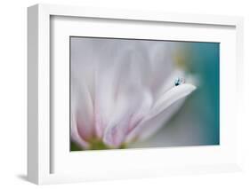 Just me-Heidi Westum-Framed Photographic Print