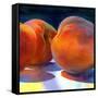 Just Peachy-Terri Hill-Framed Stretched Canvas
