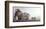 Just Picked-Ray Hendershot-Framed Art Print