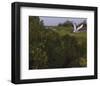 Just Pretty-Steve Hunziker-Framed Art Print