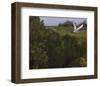 Just Pretty-Steve Hunziker-Framed Art Print