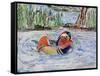 Just Real Ducky-Lauren Moss-Framed Stretched Canvas