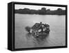 Just Room Enough Island, One of Thousand Islands in St. Lawrence River-Peter Stackpole-Framed Stretched Canvas