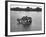 Just Room Enough Island, One of Thousand Islands in St. Lawrence River-Peter Stackpole-Framed Photographic Print