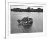 Just Room Enough Island, One of Thousand Islands in St. Lawrence River-Peter Stackpole-Framed Photographic Print