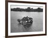 Just Room Enough Island, One of Thousand Islands in St. Lawrence River-Peter Stackpole-Framed Photographic Print