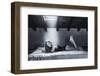 Just Sara...-Fabrizio Micheli-Framed Photographic Print