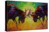 Just Sparring Moose-Marion Rose-Stretched Canvas