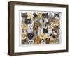 Just the Cat's Whisker-Pat Scott-Framed Giclee Print