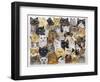 Just the Cat's Whisker-Pat Scott-Framed Giclee Print