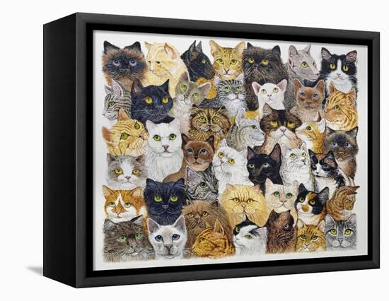 Just the Cat's Whisker-Pat Scott-Framed Stretched Canvas