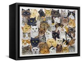 Just the Cat's Whisker-Pat Scott-Framed Stretched Canvas