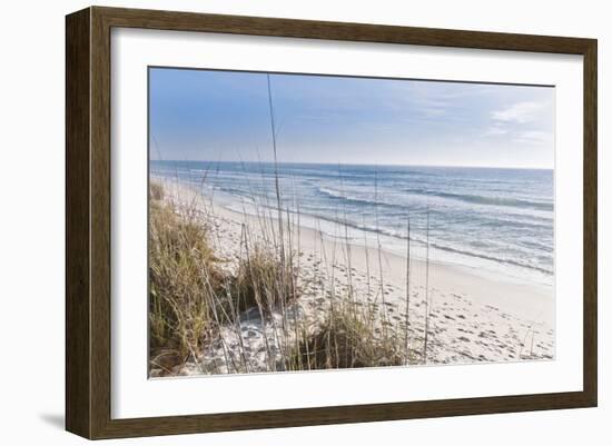 Just the Spot-Mary Lou Johnson-Framed Art Print