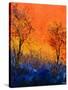 Just two trees-Pol Ledent-Stretched Canvas