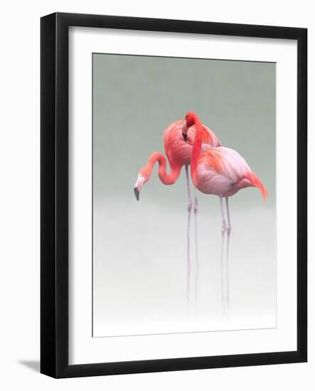 Just We Two...-Anna Cseresnjes-Framed Photographic Print