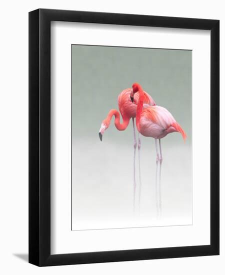 Just We Two...-Anna Cseresnjes-Framed Premium Photographic Print