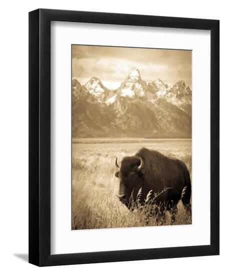 Premium Photographic Print, , large