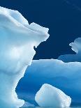 Icebergs Floating in Alsek Lake. Glacier Bay National Park, Ak.-Justin Bailie-Photographic Print