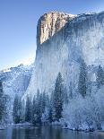 Scenic Image of Mt. Rainier National Park, Washington-Justin Bailie-Photographic Print