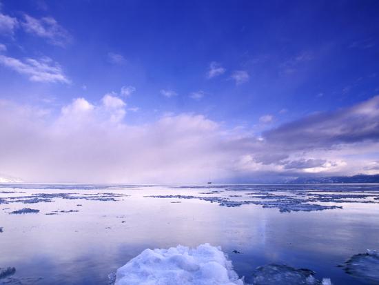 Premium Photographic Print, , large