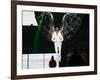 Justin Bieber-null-Framed Photo