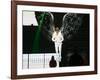 Justin Bieber-null-Framed Photo