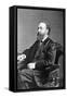 Justin Mccarthy, Irish Historian, Author and Nationalist Politician-null-Framed Stretched Canvas