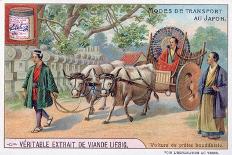 Modes of Transport in Japan, Convey of a Buddhist Priest, 19th Century-Justus Freiherr von Liebig-Giclee Print