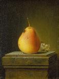 Still Life with Fruit and Rummer, 1758-Justus Juncker-Stretched Canvas