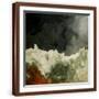 Brown Frame