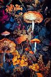 Mushrooms 1-Justyna Jaszke-Photographic Print