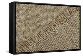 Jute Texture-Sanja Kosanovic-Framed Stretched Canvas