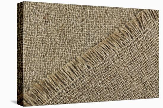 Jute Texture-Sanja Kosanovic-Stretched Canvas