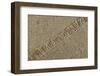 Jute Texture-Sanja Kosanovic-Framed Photographic Print