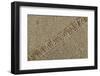 Jute Texture-Sanja Kosanovic-Framed Photographic Print