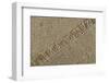 Jute Texture-Sanja Kosanovic-Framed Photographic Print