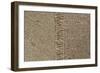 Jute Texture-Sanja Kosanovic-Framed Photographic Print