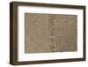 Jute Texture-Sanja Kosanovic-Framed Photographic Print