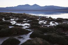 Chile, Pampas Incahuasi, Ischu Grass, Lagoon-Jutta Ulmer-Framed Photographic Print