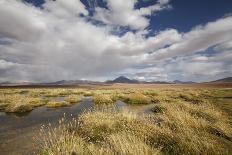 Chile, San Pedro De Atacama, Stars, Farm under the Milky Way-Jutta Ulmer-Laminated Photographic Print