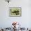 Juvenile Black Bear Eating Fruit in Missoula, Montana-James White-Framed Photographic Print displayed on a wall