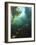 Juvenile Copper Rockfish Hiding Among, Giant Kelp, Browning Passage, British Columbia, Canada-Stuart Westmorland-Framed Photographic Print