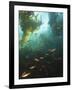 Juvenile Copper Rockfish Hiding Among, Giant Kelp, Browning Passage, British Columbia, Canada-Stuart Westmorland-Framed Photographic Print