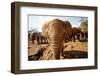 Juvenile Elephants (Loxodonta Africana) at the David Sheldrick Elephant Orphanage-James Morgan-Framed Photographic Print