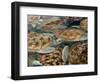 Juvenile Green Turtles in Captivity-Stephen Frink-Framed Photographic Print