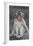 Juvenile Long-Tailed Macaque (Macaca Fascicularis) at Monkey Temple-Mark Macewen-Framed Photographic Print