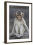 Juvenile Long-Tailed Macaque (Macaca Fascicularis) at Monkey Temple-Mark Macewen-Framed Photographic Print