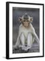 Juvenile Long-Tailed Macaque (Macaca Fascicularis) at Monkey Temple-Mark Macewen-Framed Photographic Print